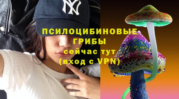 а пвп мука Аркадак