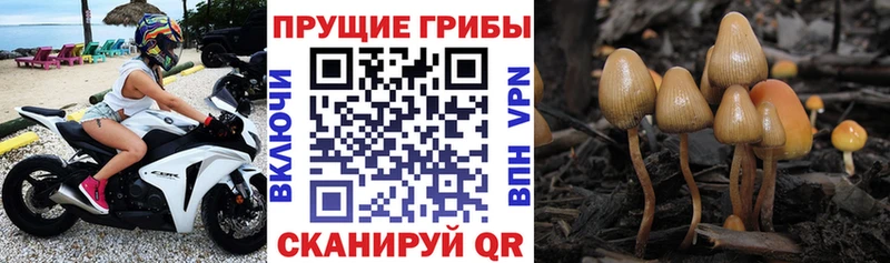 площадка телеграм  Туринск  Галлюциногенные грибы мухоморы 